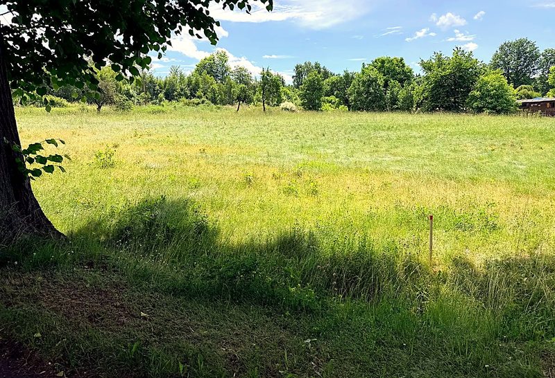 Stavební pozemek, louka