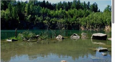 Pozemek s rybníkem, Lipová — fotografie 3
