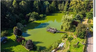 Rodinný dům s rybníkem, Višňová — Saň — fotografie 3